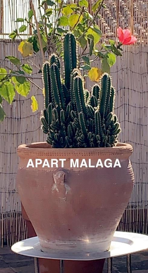 Appartement Plein Coeur Centre Historique De Malaga Exterior photo